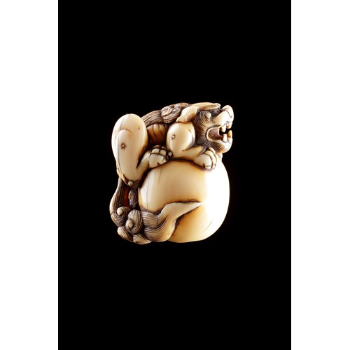 Carved Ivory Netsuke of a Large Fierce Shishi Temple Dog